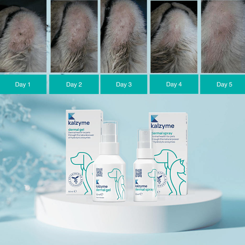 Kalzyme Dermal Care - Kalzyme