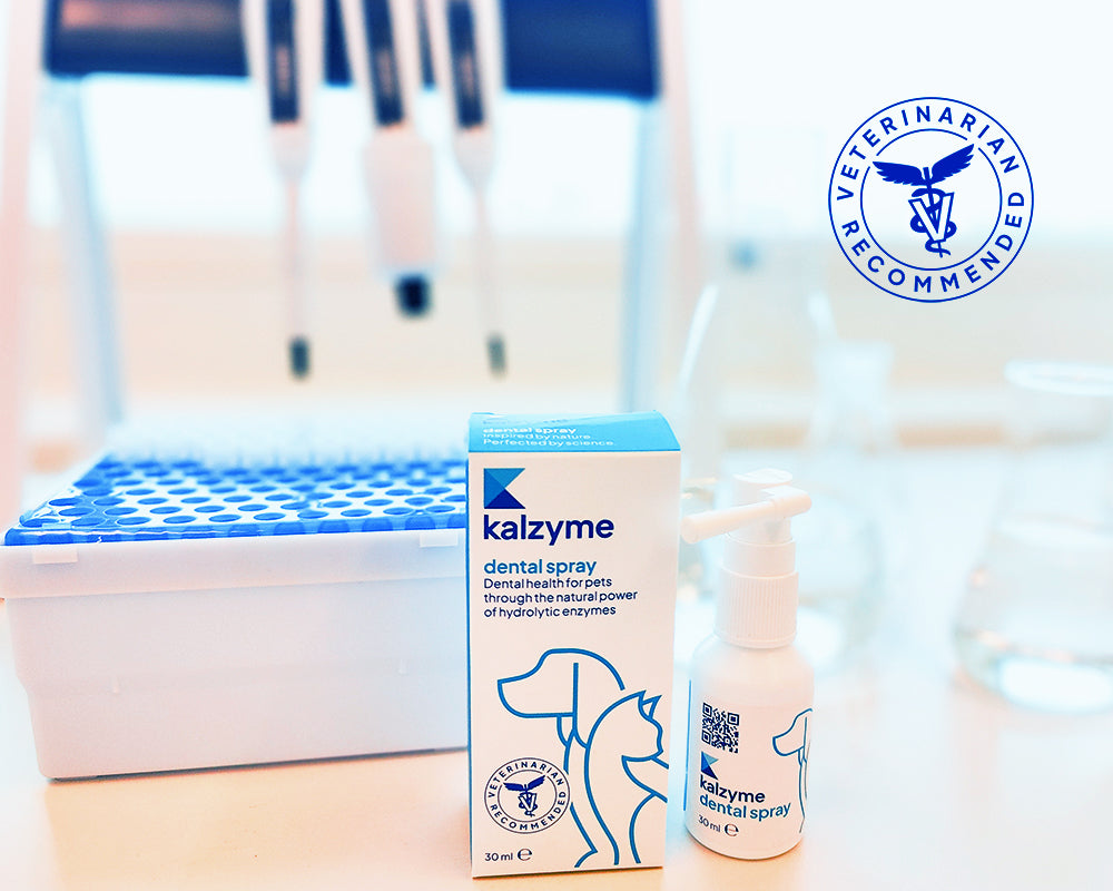 Kalzyme Our Story - Kalzyme