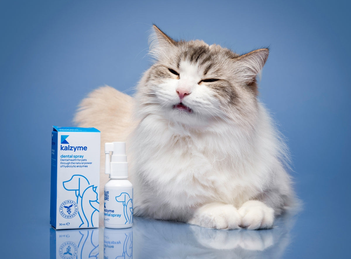 Kalzyme Kalzyme | A Breakthrough Innovation in Animal Health