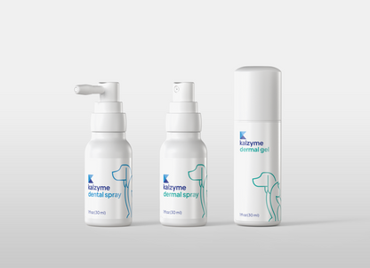 Kalzyme Dental Spray